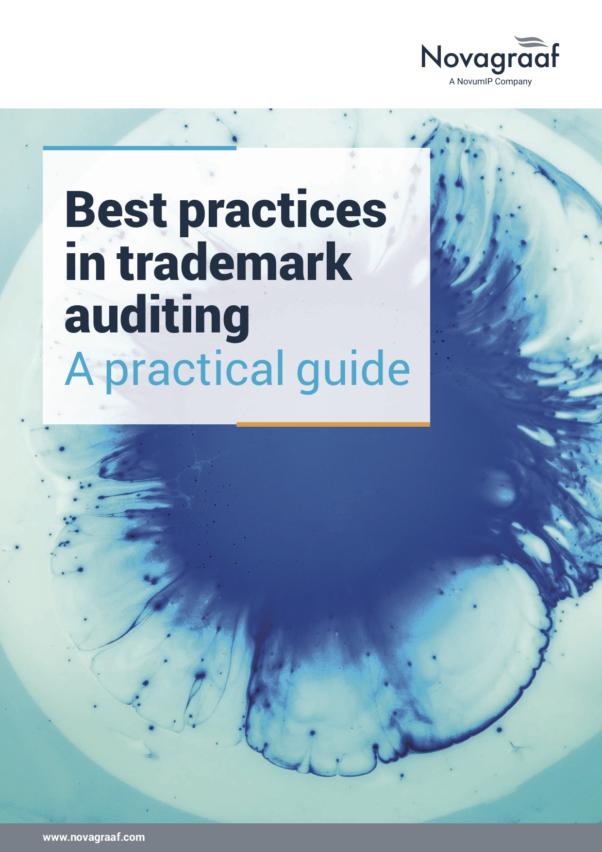 getting a trademark