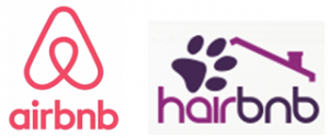 Airbnb - Hairbnb