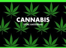 Cannabis Store Amsterdam logo