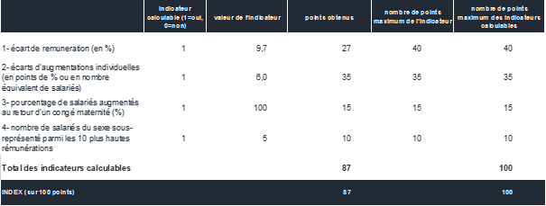 index de l’égalité femmes-hommes de Novagraaf Technologies