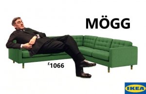 rees-mogg meme