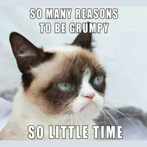 Grumpy Cat