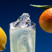 Schweppes May Tea trademark dispute, image of oranges and lemons