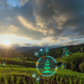 agriculture numérique rapport OEB 2025