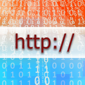 Domain name disputes, Lost Mary case