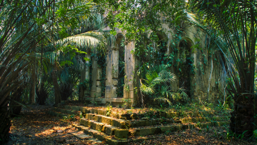 Amazonie ruine