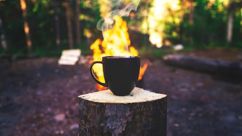 coffee mug in woodland