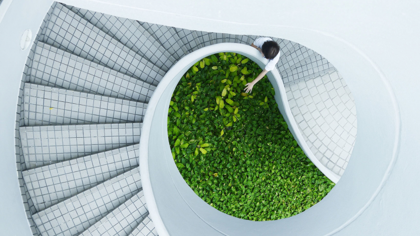 person touching tree on stairs climate change innovation