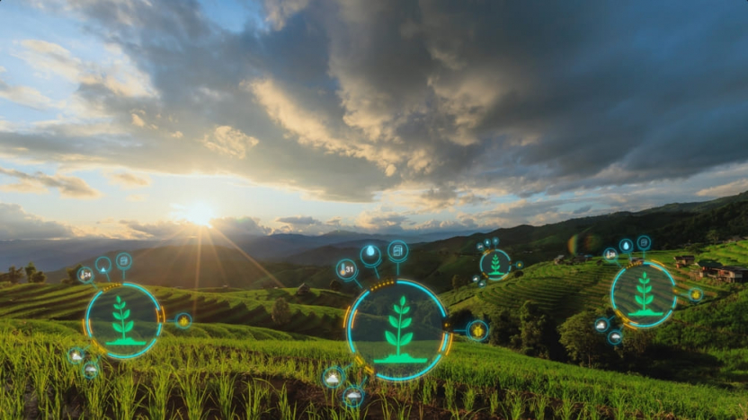 agriculture numérique rapport OEB 2025